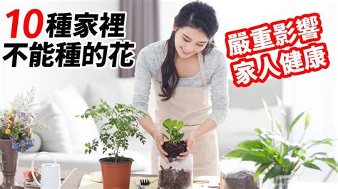 家裡不能種的花